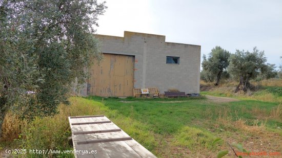 Nave en venta en La Fresneda (Teruel)