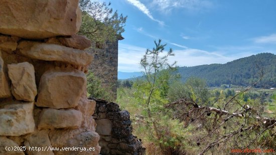 Finca en venta en Valderrobres (Teruel)