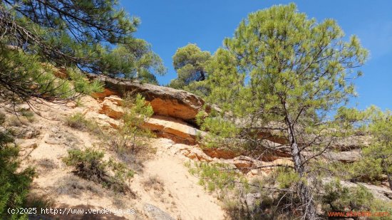 Finca en venta en Fuentespalda (Teruel)