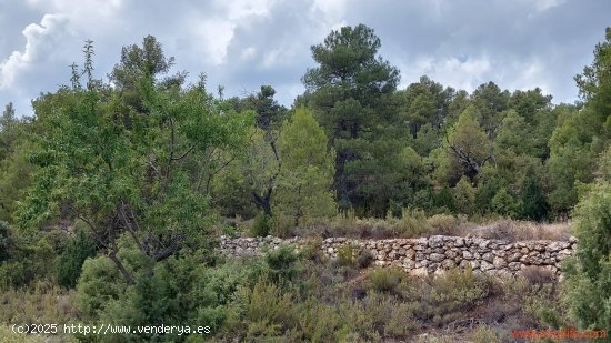 Finca en venta en Fuentespalda (Teruel)