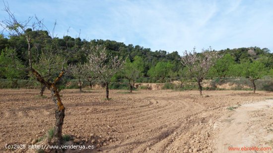 Finca en venta en Alcañiz (Teruel)