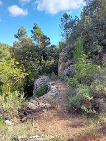 Finca en venta en Ráfales (Teruel)