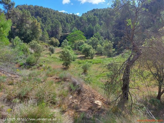 Finca en venta en Ráfales (Teruel)