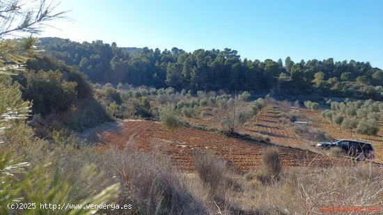 Finca en venta en Mazaleón (Teruel)