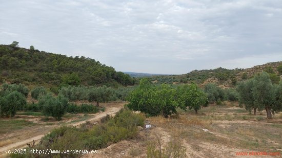 Finca en venta en Caspe (Zaragoza)