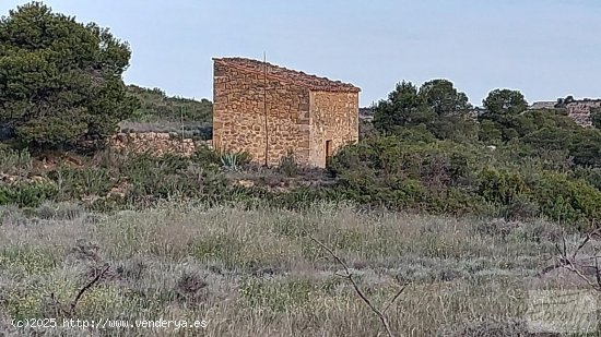 Finca en venta en Caspe (Zaragoza)