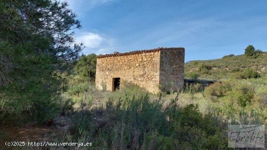 Finca en venta en Caspe (Zaragoza)