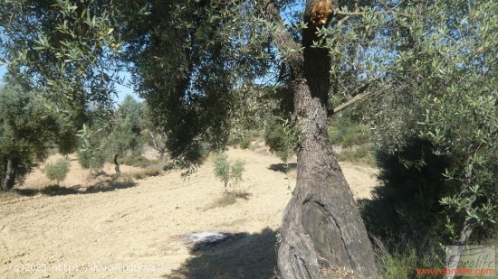 Finca en venta en Calaceite (Teruel)