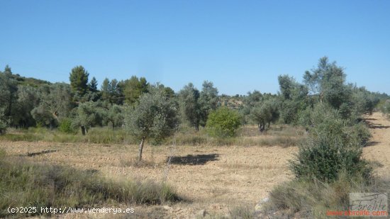 Finca en venta en Calaceite (Teruel)