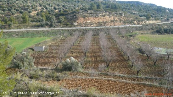 Finca en venta en La Fresneda (Teruel)