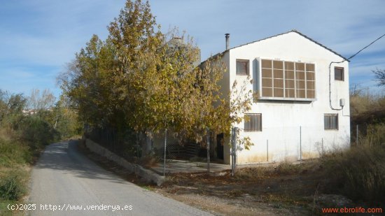 Edificio en venta en Maella (Zaragoza)