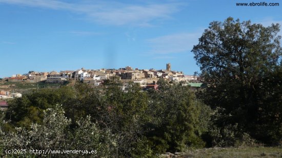 Finca en venta en Cretas (Teruel)