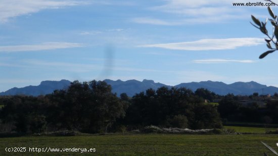 Finca en venta en Cretas (Teruel)