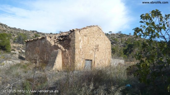 Finca en venta en Maella (Zaragoza)