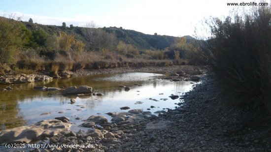 Finca en venta en Nonaspe (Zaragoza)