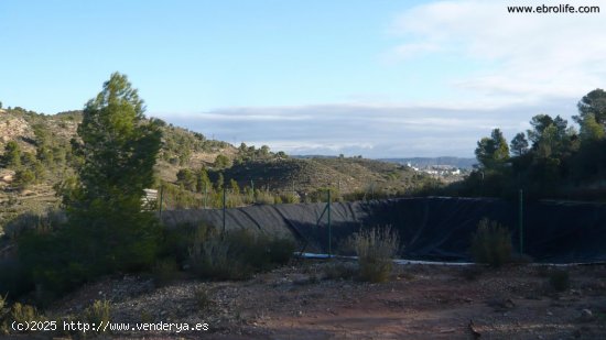 Finca en venta en Nonaspe (Zaragoza)