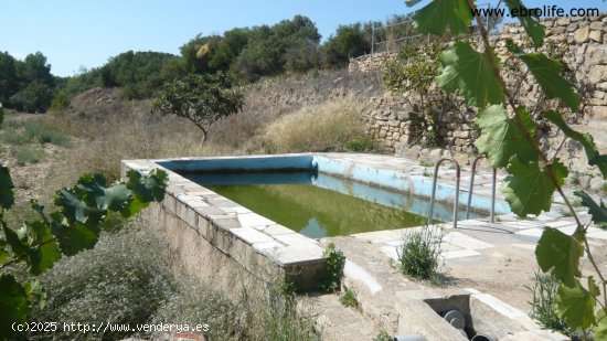 Finca en venta en Calaceite (Teruel)