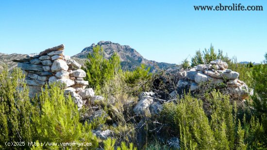  Finca en venta en Horta de Sant Joan (Tarragona) 