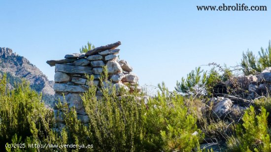 Finca en venta en Horta de Sant Joan (Tarragona)