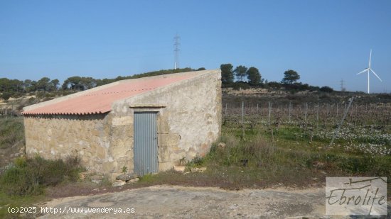  Finca en venta en Batea (Tarragona) 