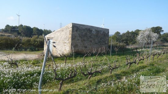 Finca en venta en Batea (Tarragona)