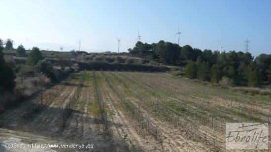 Finca en venta en Batea (Tarragona)