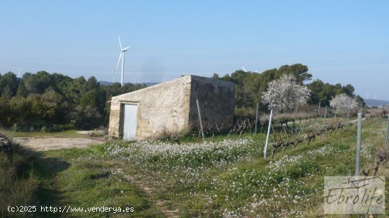 Finca en venta en Batea (Tarragona)