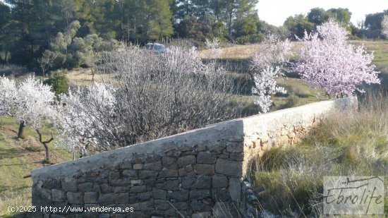  Finca en venta en Caseres (Tarragona) 