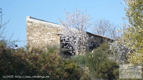 Finca en venta en Batea (Tarragona)