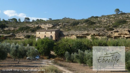  Finca en venta en Batea (Tarragona) 