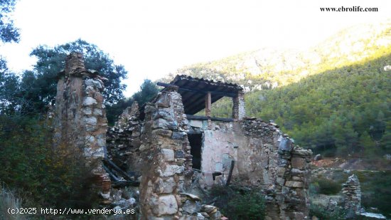  Finca en venta en Valderrobres (Teruel) 