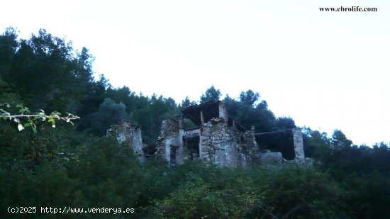 Finca en venta en Valderrobres (Teruel)