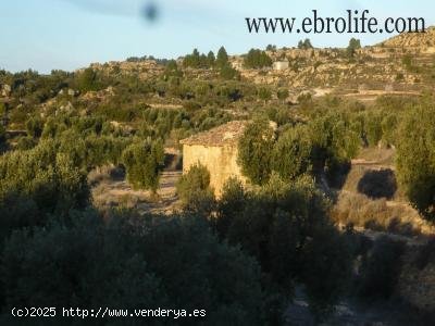 Finca en venta en Maella (Zaragoza)