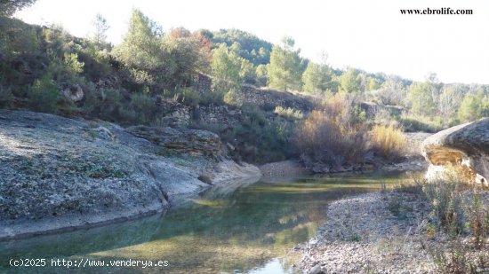  Finca para invertir en Ráfales (Teruel) 