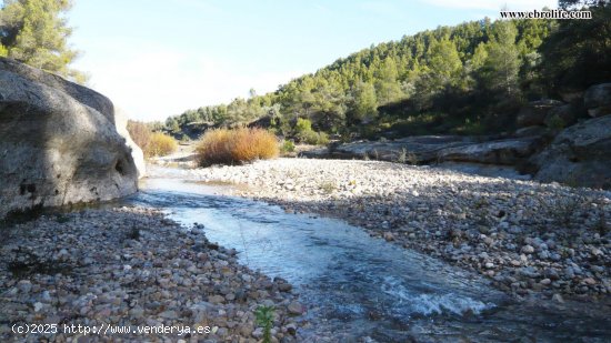 Finca para invertir en Ráfales (Teruel)