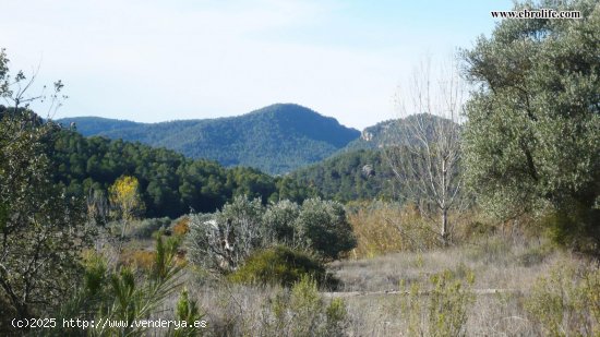 Finca para invertir en Ráfales (Teruel)