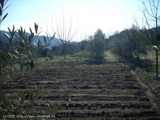 Suelo rústico en venta  en Aleixar, L - Tarragona