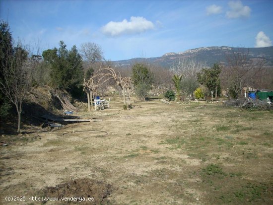 Suelo rústico en venta  en Aleixar, L - Tarragona