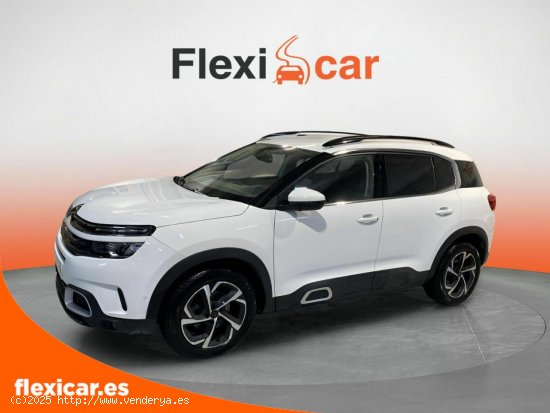 Citroën C5 Aircross BlueHdi 96kW (130CV) S&S EAT8 C Series - Biscay