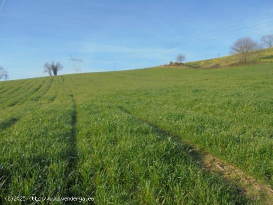 Terreno Rustico en Penagos - CANTABRIA