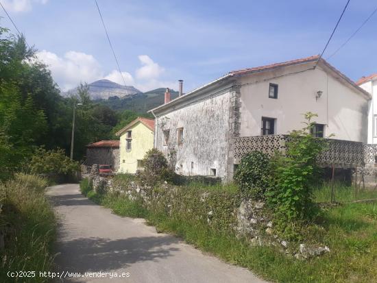 SE VENDE CASA CON TERRENO EN RIVA DE RUESGA - CANTABRIA