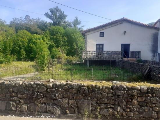 SE VENDE CASA CON TERRENO EN RIVA DE RUESGA - CANTABRIA