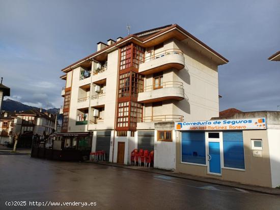 AMPLO PISO EN RAMALES DE LA VICTORIA (CANTABRIA) - CANTABRIA