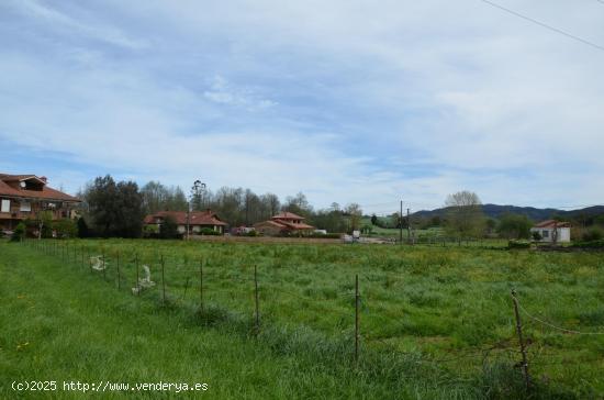 ¡No pierdas la oportunidad de invertir en esta espectacular finca en Navajeda! - CANTABRIA