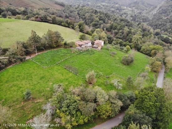  FINCA RÚSTICA EDIFICABLE EN PILOÑA, INFIESTO - ASTURIAS 