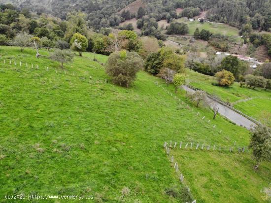  FINCA EDIFICABLE EN PARAÍSO NATURAL  PILOÑA (INFIESTO) - ASTURIAS 