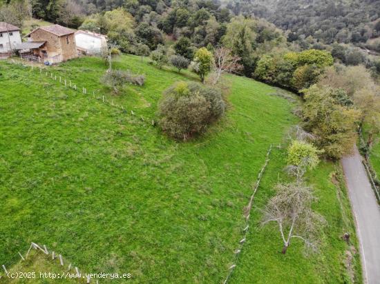 FINCA EDIFICABLE EN PARAÍSO NATURAL  PILOÑA (INFIESTO) - ASTURIAS