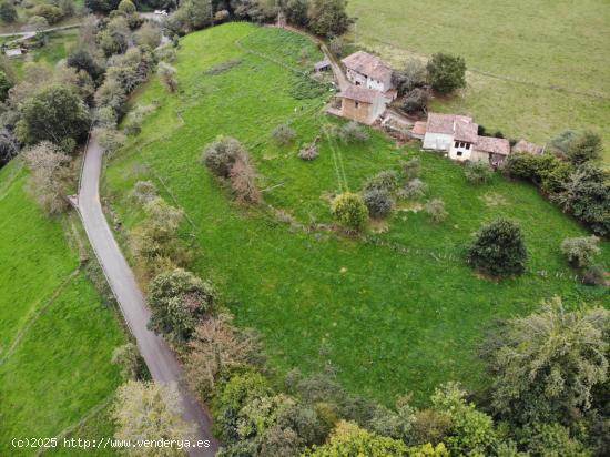 FINCA EDIFICABLE EN PARAÍSO NATURAL  PILOÑA (INFIESTO) - ASTURIAS