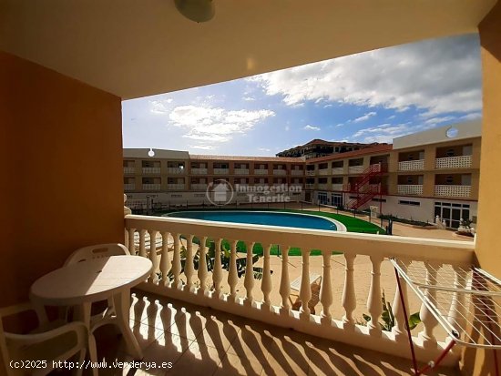 Estudio en alquiler en Arona (Tenerife)