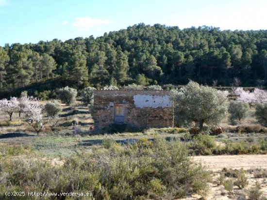 Finca en venta en Maella (Zaragoza)